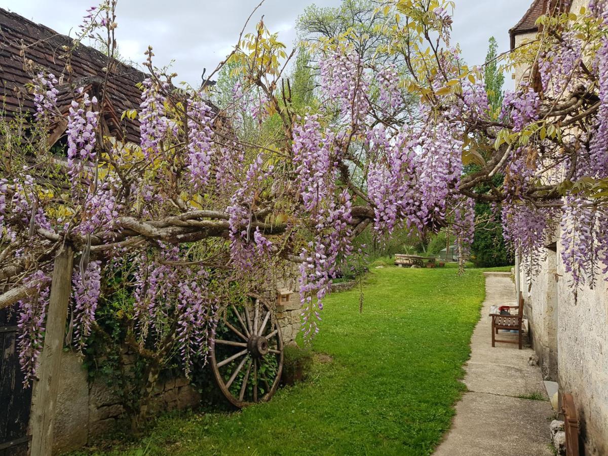 Le Moulin De Jules Et Akasha Acomodação com café da manhã Murat Exterior foto