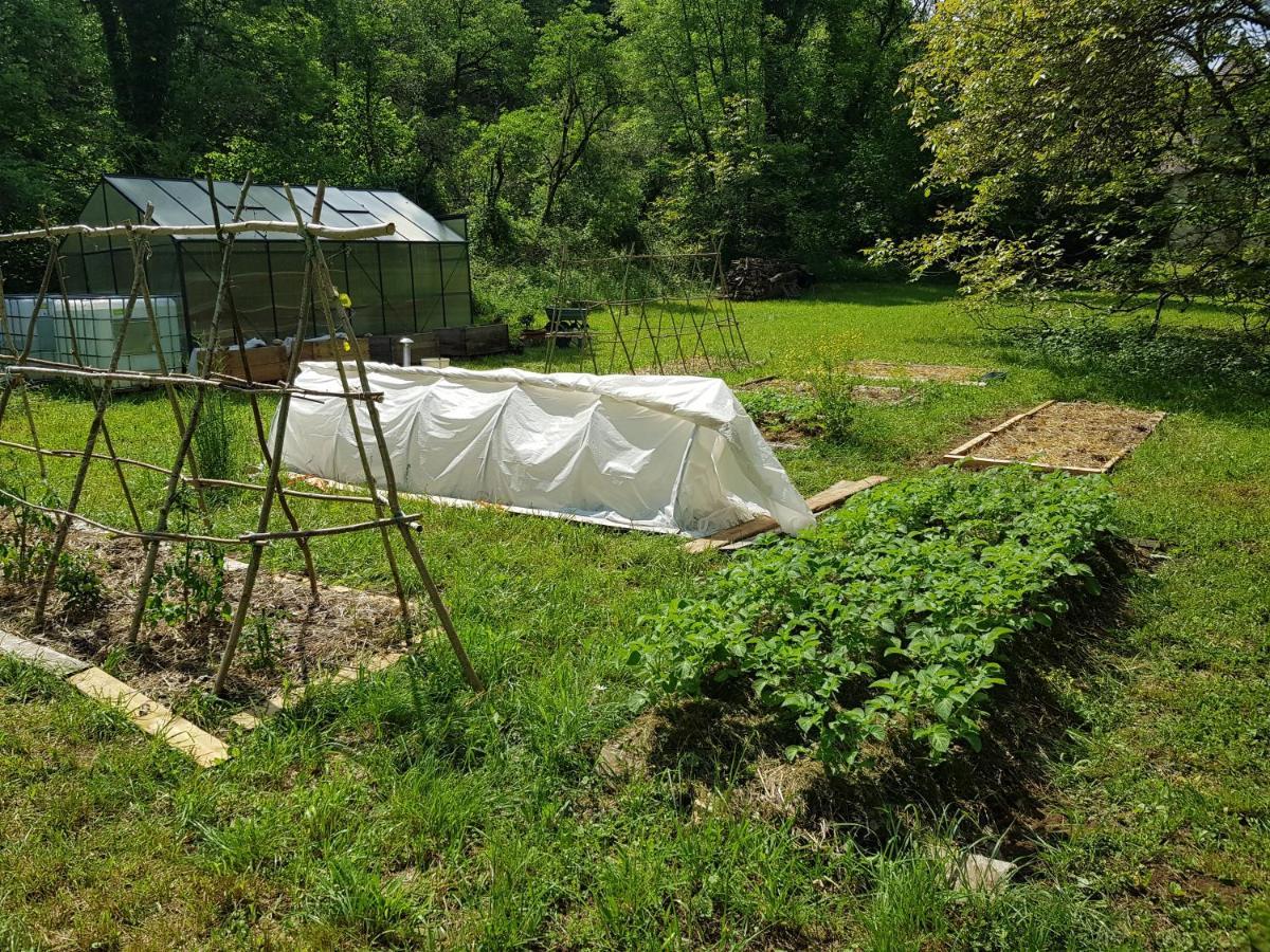 Le Moulin De Jules Et Akasha Acomodação com café da manhã Murat Exterior foto